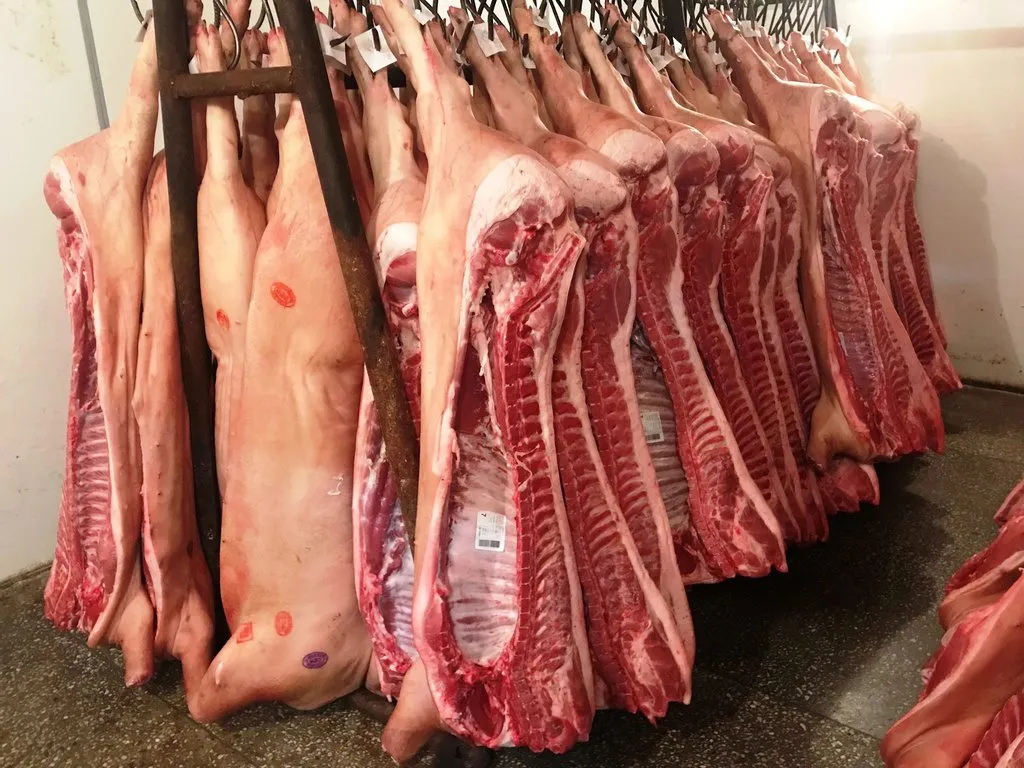 мясо свинина охлажденная в Красноярске