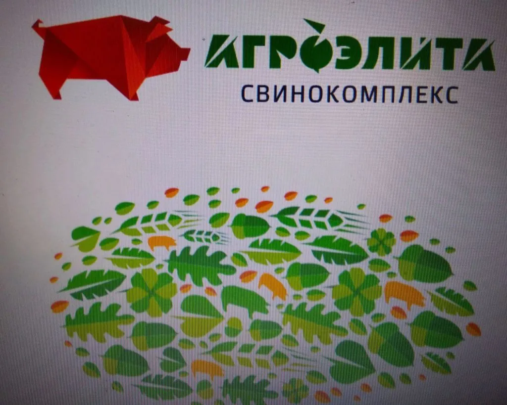 продаем свинок в живом весе в Красноярске