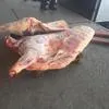 мясо говядина оптом, замороженное в Красноярске