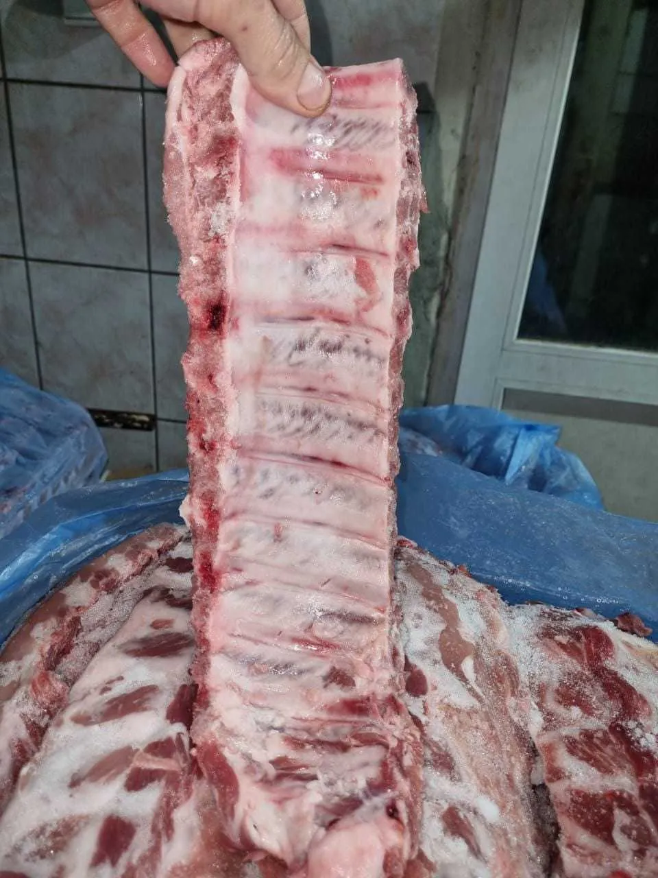 фотография продукта Ребро ленто свин.-346р/кг владивосток