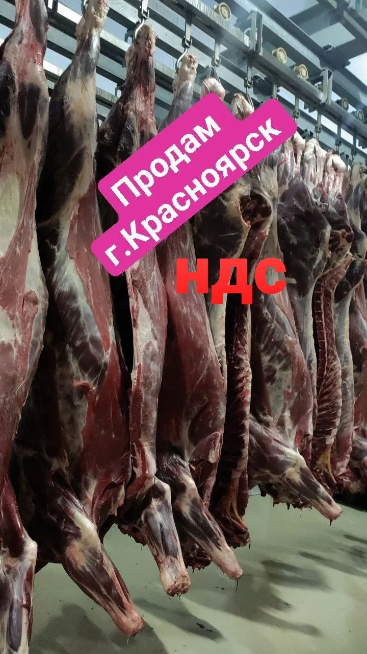 говядина быки в четвертинах  в Красноярске