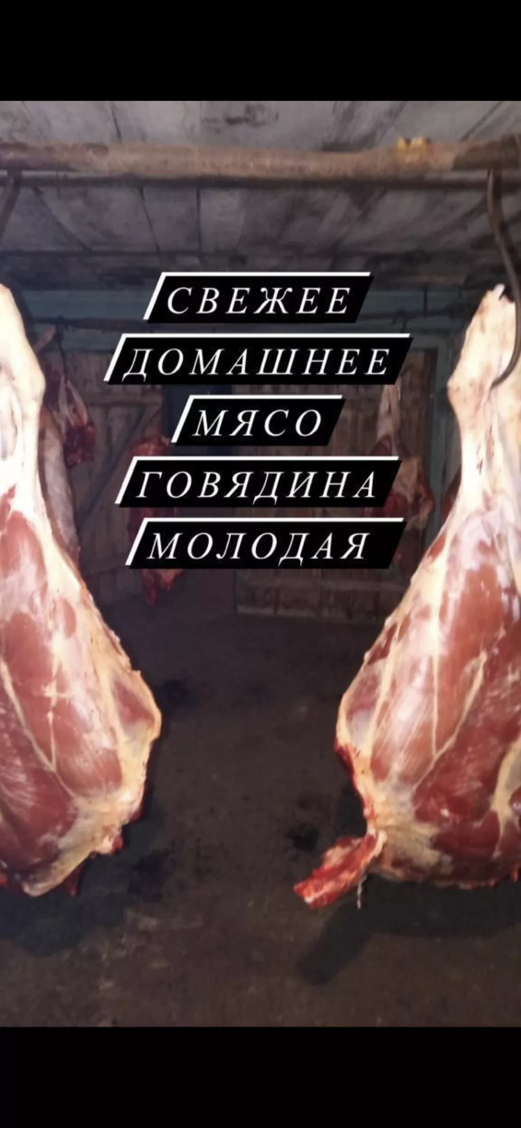 мясо говядины в Красноярске и Красноярском крае