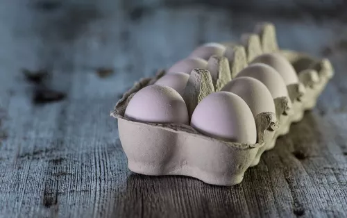Из Красноярского края на экспорт в Монголию отправлено более 600 тыс. штук куриных яиц