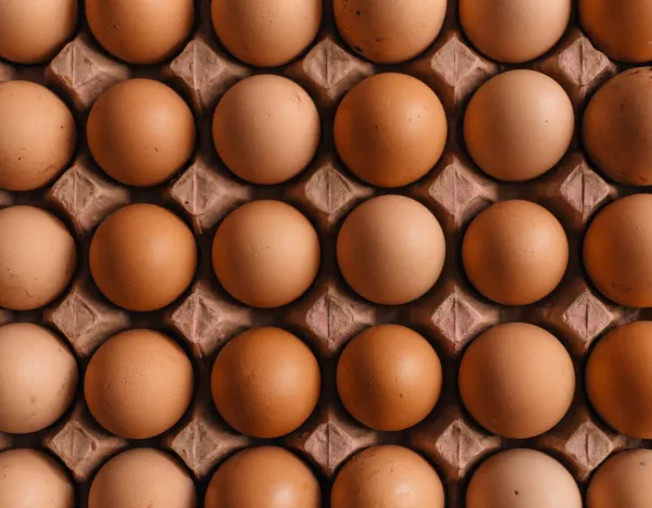 Первая в 2023 году партия куриных яиц отправлена из Красноярского края на экспорт в Монголию