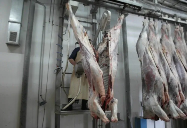 фотография продукта Говядина в отрубах от производителя.