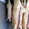 мясо свинины и говядины | Объём в Красноярске