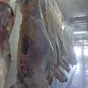 говядина быки в Красноярске