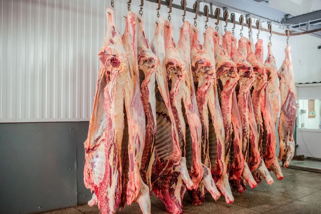 фотография продукта Мясо говядины н/к Красноярск и по краю