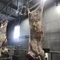 свинина говядина в Красноярске