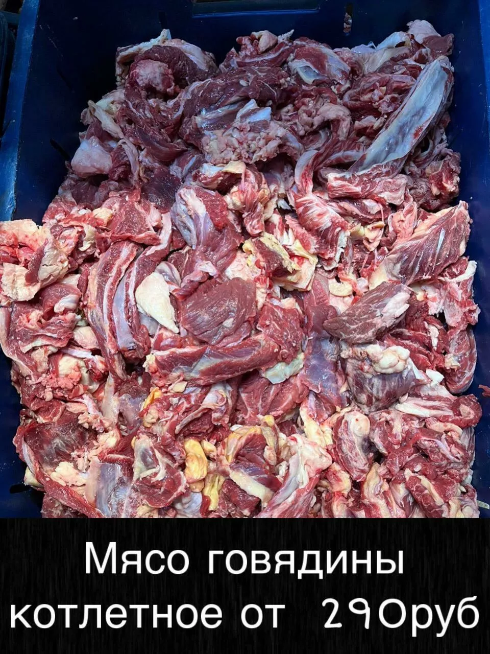 мясо - говядина и др. оптом! в Красноярске и Красноярском крае 5